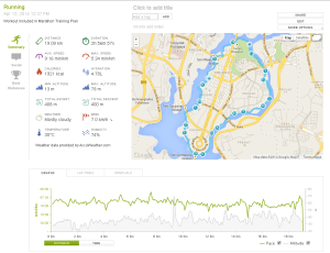 ironman putrajaya run